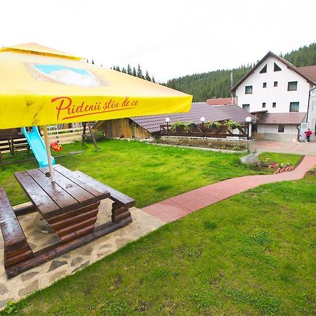 Pensiunea Viki Tău Bistra Exterior foto