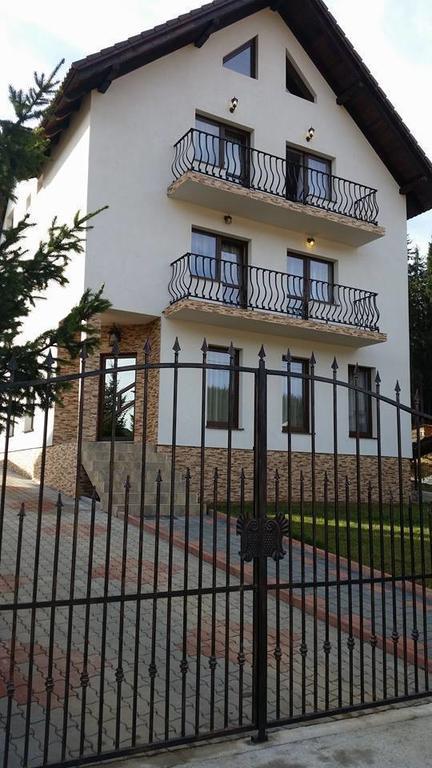 Pensiunea Viki Tău Bistra Exterior foto