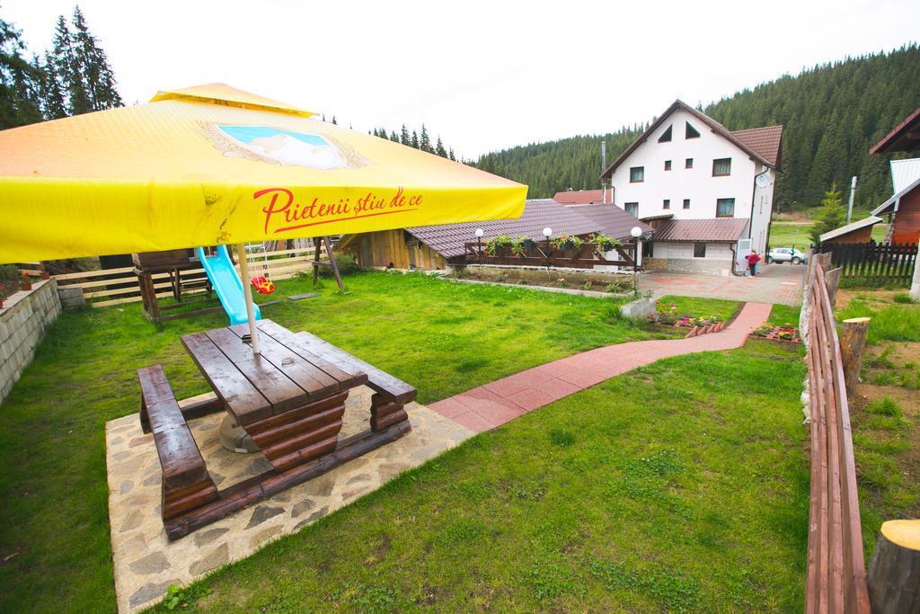 Pensiunea Viki Tău Bistra Exterior foto